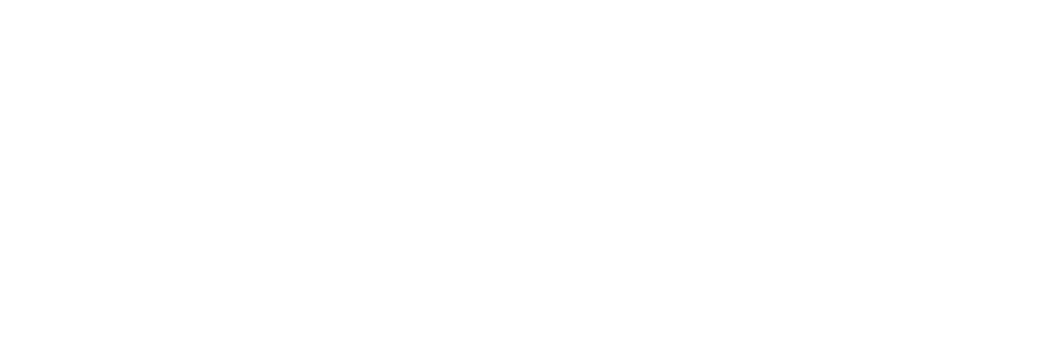 European Union logo, white