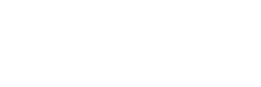 SSATP logo, white