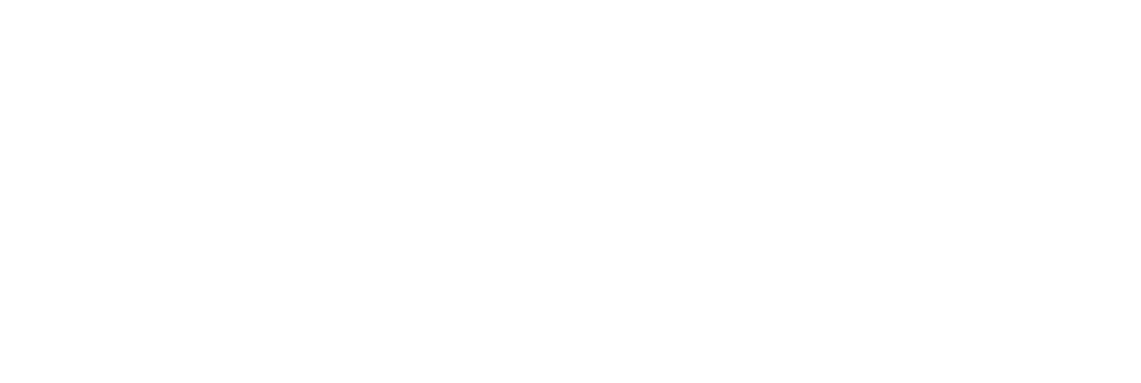World Bank Group logo - horizontal, white